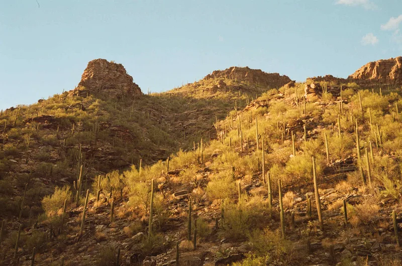Sabino Canyon shot on Kodak Gold 200 with a Canon Canonet G-III QL17, developed at Monument Camera, by Noah R. Evans