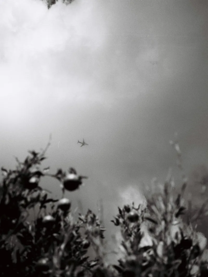 Film photo shot on Ilford Kentmere Pan 100 with a Fujifilm GS646S, developed at PhotoCo Camerahouse, by bri_er_ley