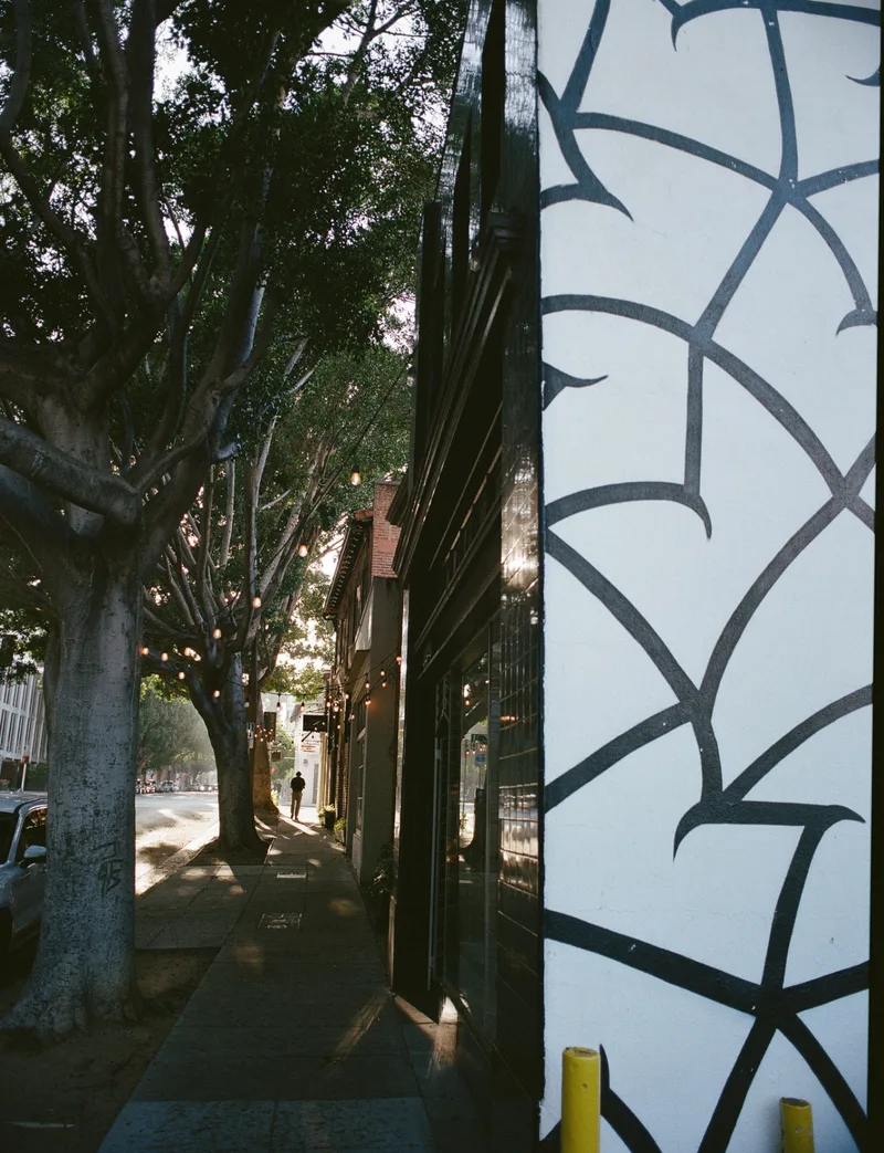 Film photo shot on Kodak Portra 400 with a Zenza Bronica ETRSi, developed at LA Film Lab, by kc