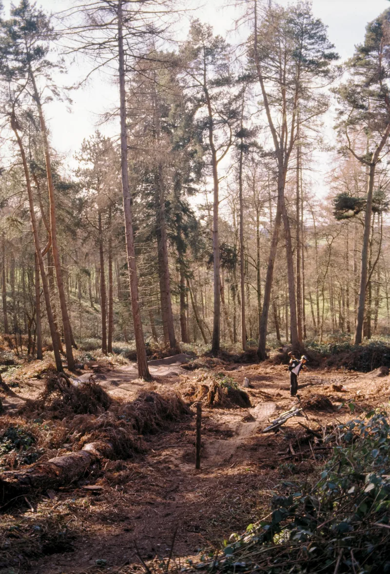 Film photo shot on Kodak Ektachrome E100 with a Canon EOS 300V, developed at Not Quite North, by keenfor35mm