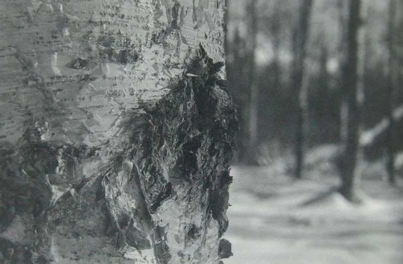 Film photo shot on Flic Film UltraPan 400 with a Minolta SR-T 101, developed at Home / Self-Developed, by Truckinwagen