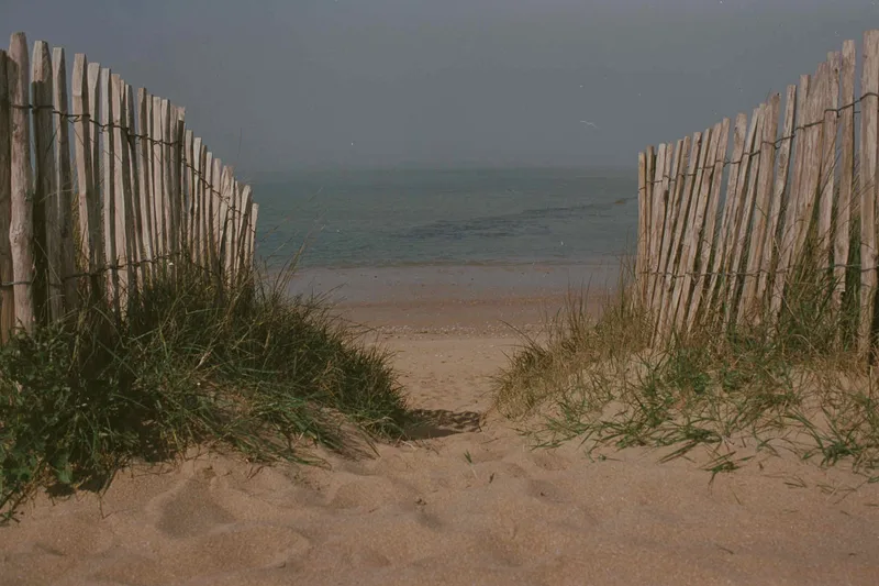 🏖️ shot on Kodak Ektar 100 with a Minolta XE-1, developed at L'Atelier Argentique, by Analogue Resistance