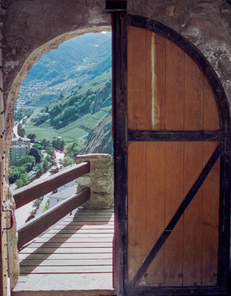 the outside world shot on Cinestill 50D with a Canon EOS 500, developed at Lumentation, by Jasmine Heyward