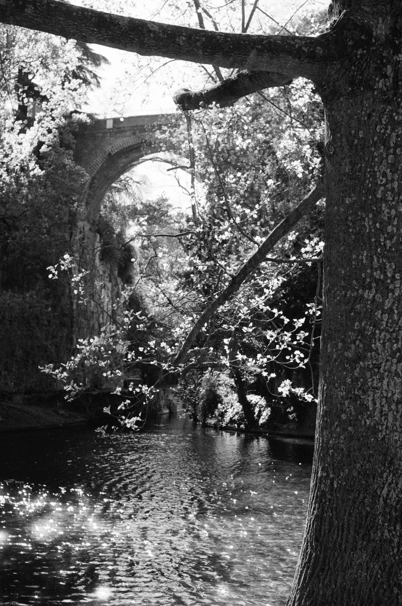 bridge over water shot on Ilford Kentmere Pan 400 with a Pentax MV1, developed at Southsun, by Paulina