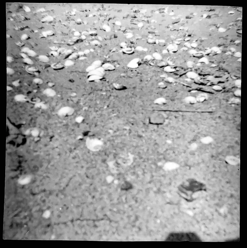 Wild Ken Hill (9). shot on Not Known 127? with a Coronet127 4x4, developed at Home / Self-Developed, by Tony Shelley