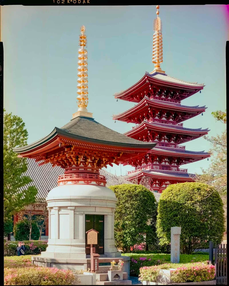 Pagoda shot on Kodak Vericolor III with a Intrepid 4x5, developed at Home / Self-Developed, by Nicholas Smith