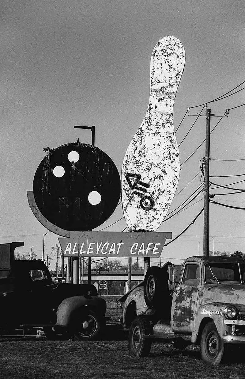 Alleycat shot on Fujifilm Neopan Acros 100 II with a Minolta SR-T 201, developed at Camera Bar, by Josh Esan