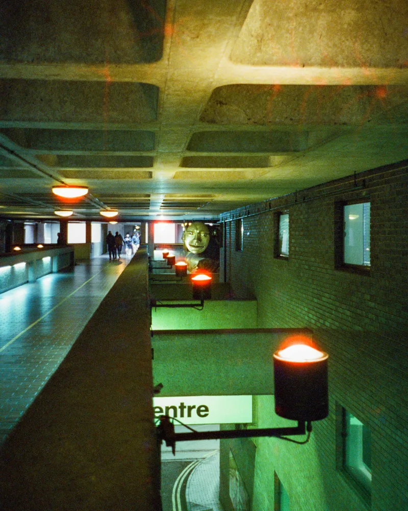 Film photo shot on Hundred Film 8Hundred with a Olympus AF-1 Super, developed at Stuart Cameras, by Steph