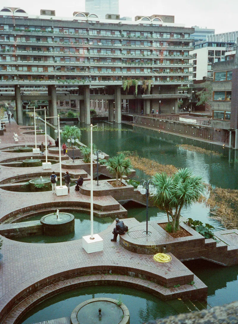 Film photo shot on Hundred Film 8Hundred with a Olympus AF-1 Super, developed at Stuart Cameras, by Steph