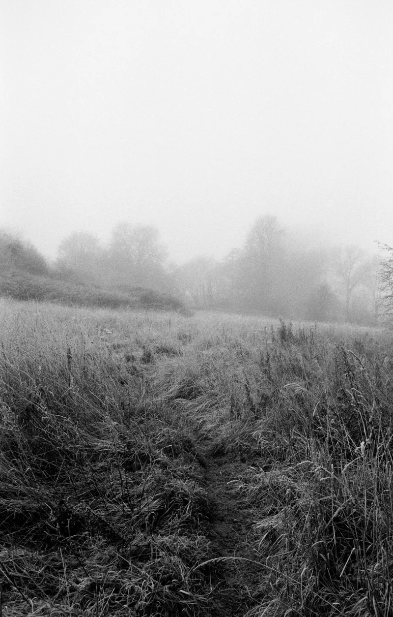 Misty Morning shot on Ilford HP5 Plus 400 with a Pentax ME Super, developed at Liquid Light Lab, by keenfor35mm