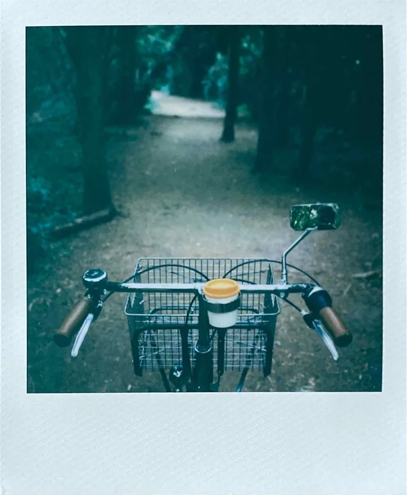 Woods shot on Polaroid SX-70 with a Polaroid SX70Alpha1, by ChrisH