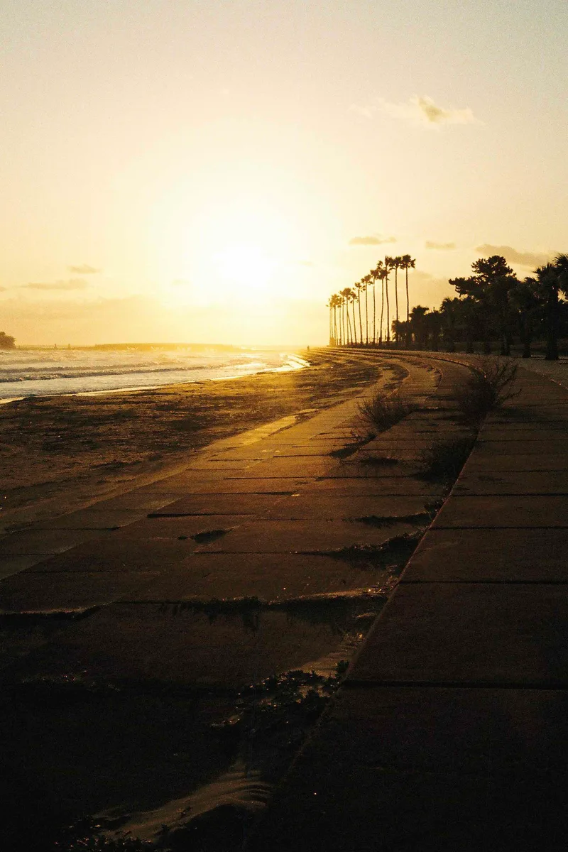 Miyazaki Sunsets shot on Kodak Gold 200 with a Contax T3, developed at Fotoexpress, by Marc