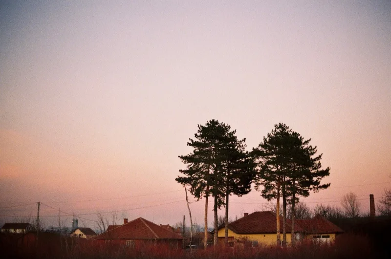 Film photo shot on Fujifilm C400 with a Canon AE-1, developed at Elite Photo, by pavle