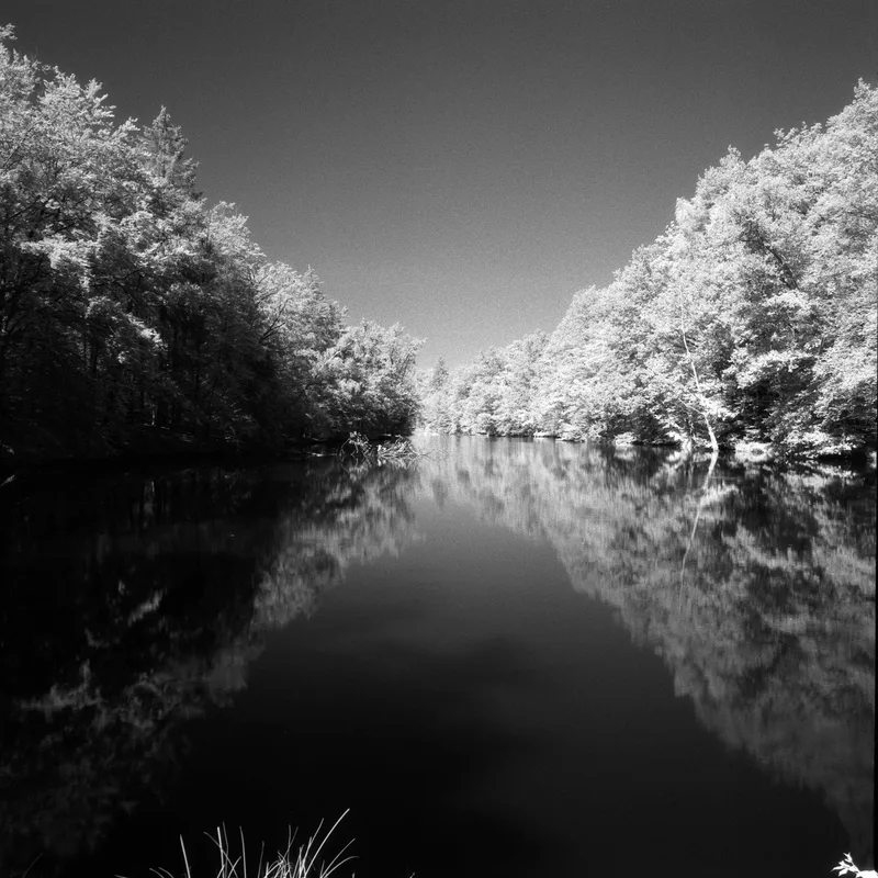 Steinbachsee shot on Ildord SFX with a Hasselblad 503CW, developed at Prolab Fotofachlabor GmbH, by Michael