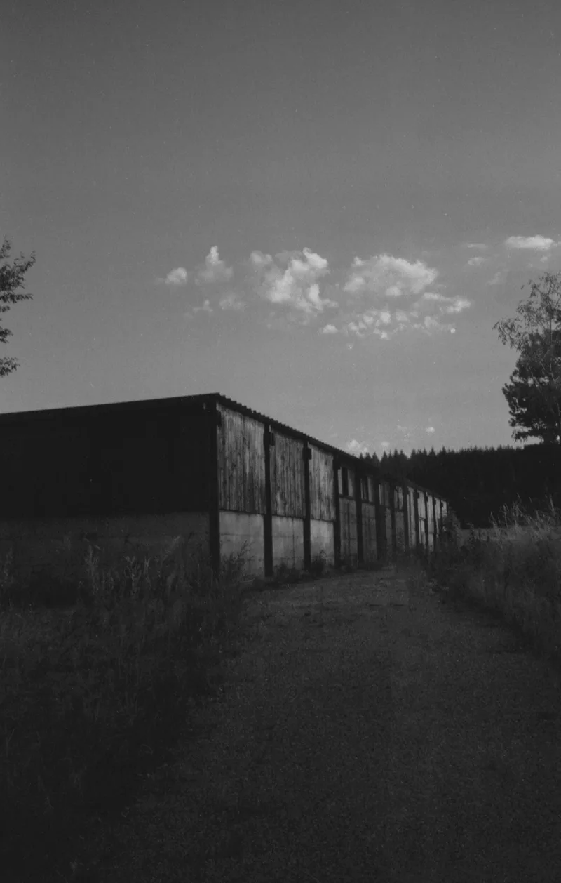 Film photo shot on Nation Photo Nation Photo 400 with a Ricoh 500GX, developed at Home / Self-Developed, by Ambroise