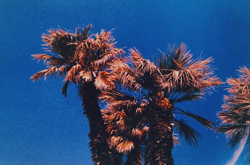 🟠🔵 shot on Kodak Ektar 100 with a Olympus Mju Zoom 35-70, by Chiara Borredon