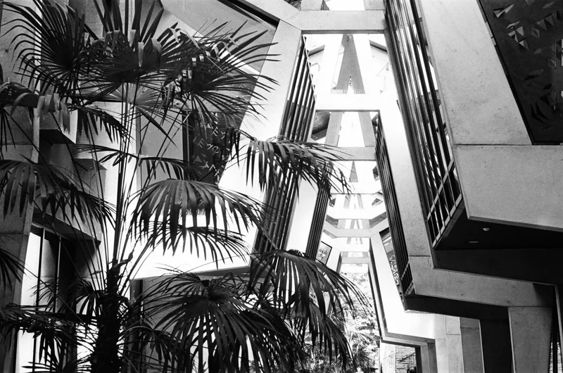 Future is now shot on Kodak Tri-X 400 with a Rolleiflex SL35M, developed at L'Atelier Argentique, by alvahgoldbook