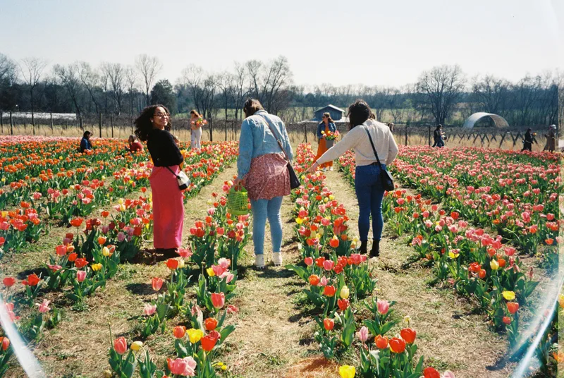 Film photo shot on Fujifilm Superia X-TRA 400 with a Olympus StylusZoom80, developed at Boutique Film Lab, by Gaby Salinas