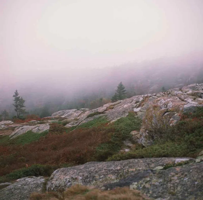 Cadillac Mountain shot on Fujifilm Provia 100F with a Kiev 6C