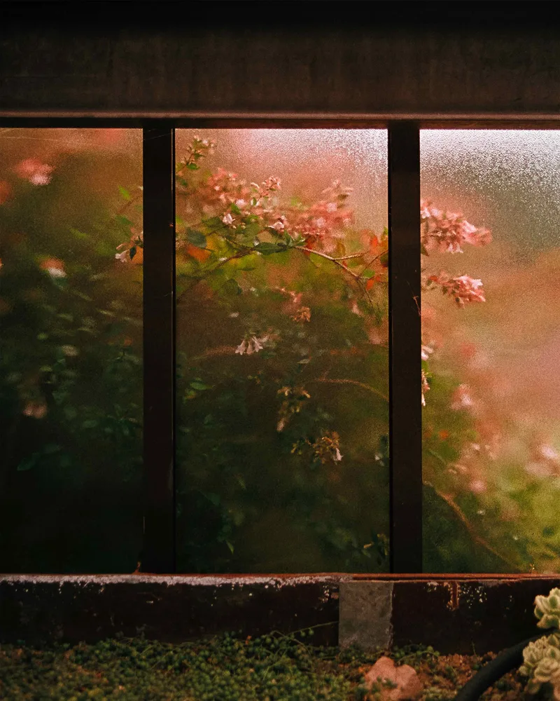 Film photo shot on Lomography CN 800 with a Canon F-1n, by haroon