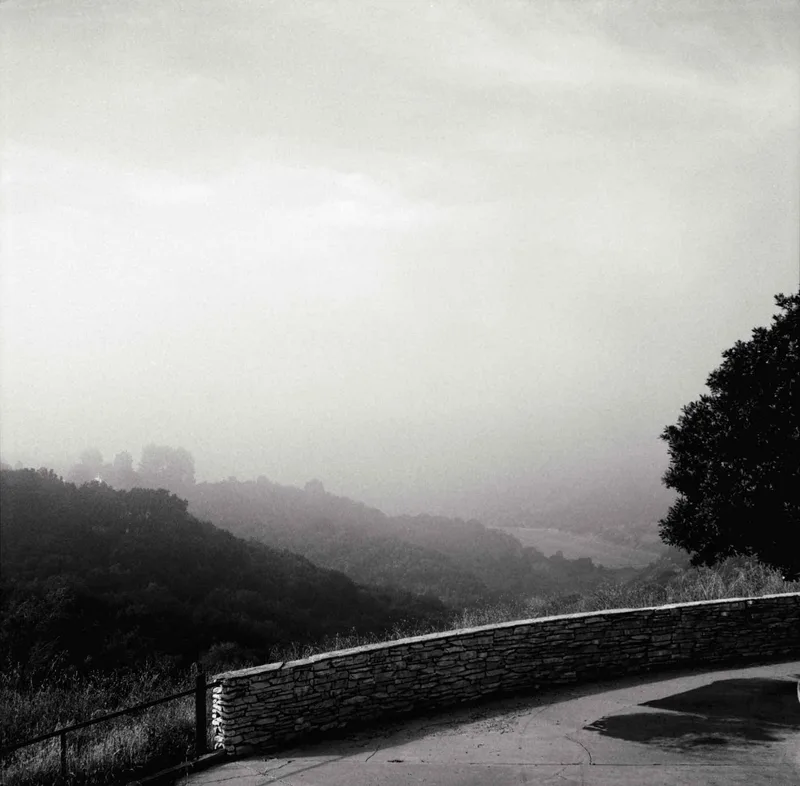 Film photo shot on Kodak T-Max 100 with a Mamiya 6 Automat, developed at The DarkRoom, by Joe