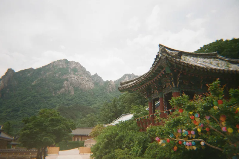 Film photo shot on Fujifilm 400 with a Kodak Ultra F9, by Kunhee