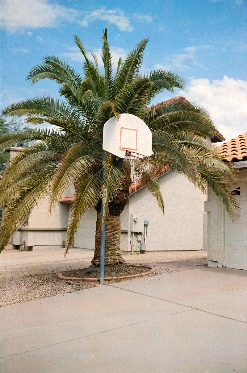 Palm Hoop shot on Kodak Portra 160 NC with a Fuji GW690III, by Cray