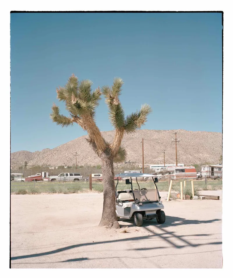 Joshua Tree 🌵 shot on Kodak Portra 400 with a Mamiya 7, developed at Halide Supply, by Jed Rann
