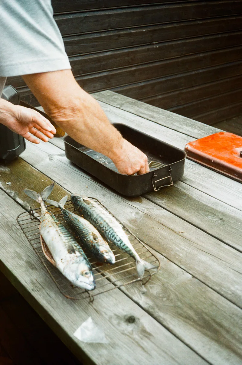 Mackerel shot on Kodak Gold 200 with a Ricoh 500G, developed at Khrome, by Lena Rodin Braslavskaya