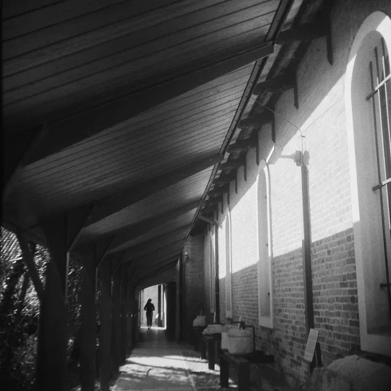 The corridor shot on Foma Fomapan 400 Action with a Adox Golf 63, developed at Nuova Colore SRL, by Leonardo