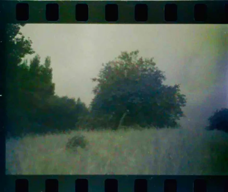 Somewhere in Leicestershire UK. shot on Fomapan 100 with a Brownie 127, developed at Home / Self-Developed, by Tony Shelley