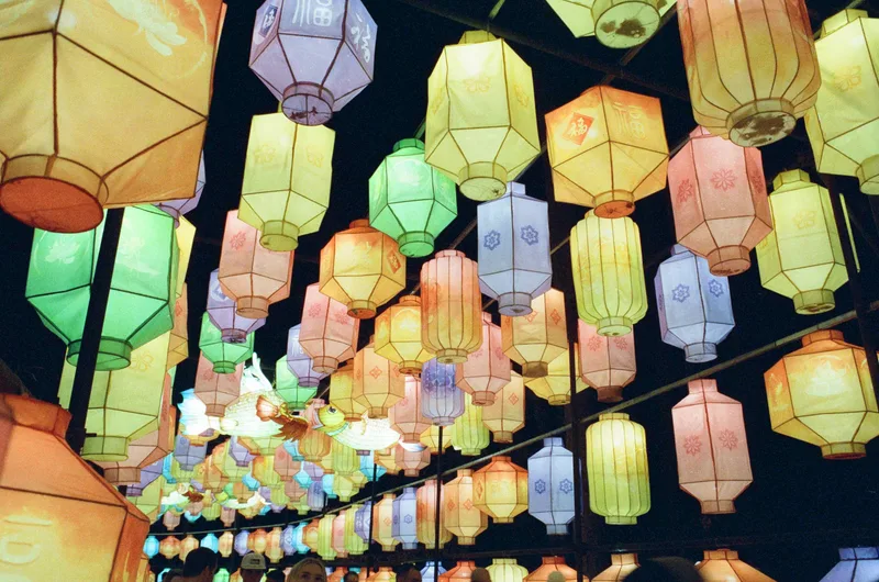 Chinese Lantern Festival in Cary shot on Cinestill 800T with a Minolta X-700, developed at Robert's Camera, by Drew