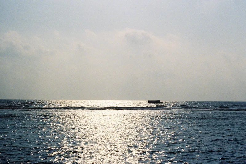 Journey shot on Kodak UltraMax 400 with a Canon AE-1, developed at Darkroom8, by Hoodh Niyaz