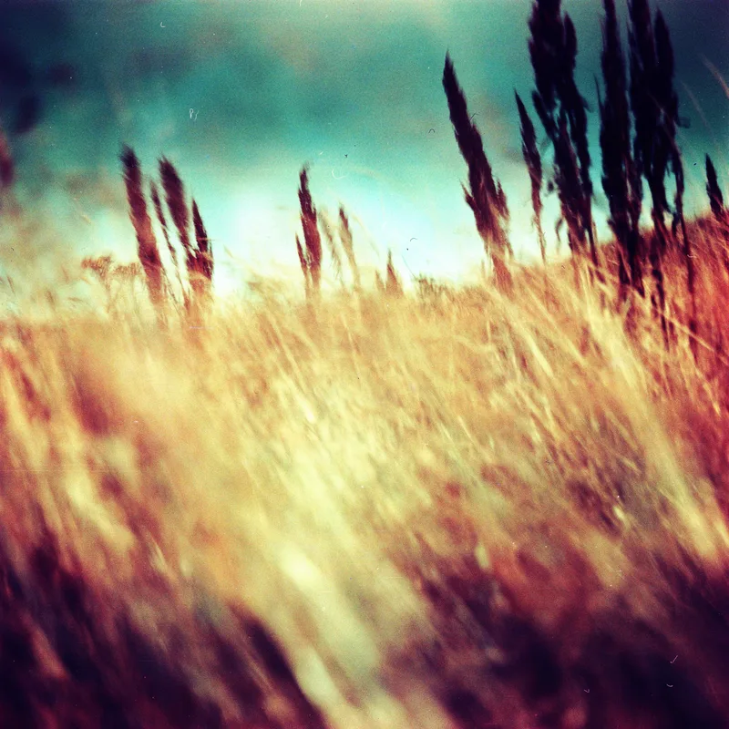 Kerrow shot on Lomography Redscale XR 50-200 with a Zeiss Ikon Nettar 518/16, by Matt
