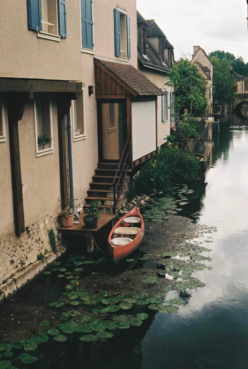 Floating on water lilies shot on Fujifilm FujiColor C200 with a Olympus Pen EES-2, developed at Miyagi Studio, by Alber