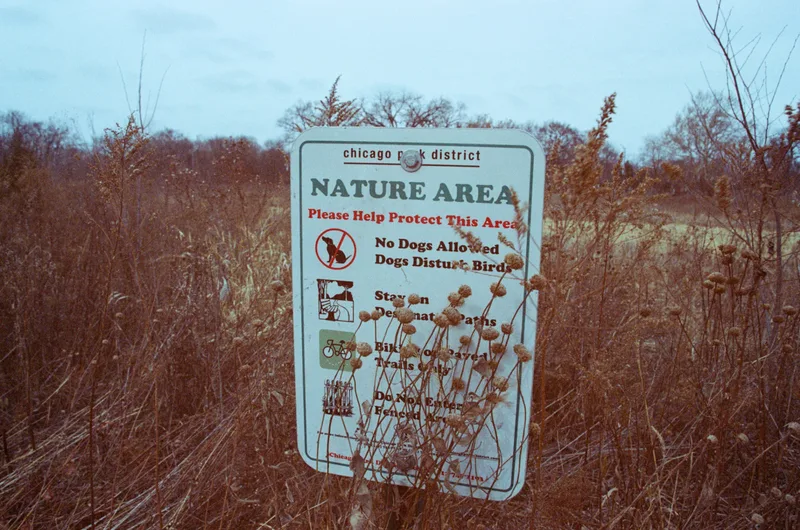 Film photo shot on Kodak Max 800 with a Canon EOS Elan 7, developed at Reformed Film Lab, by parker