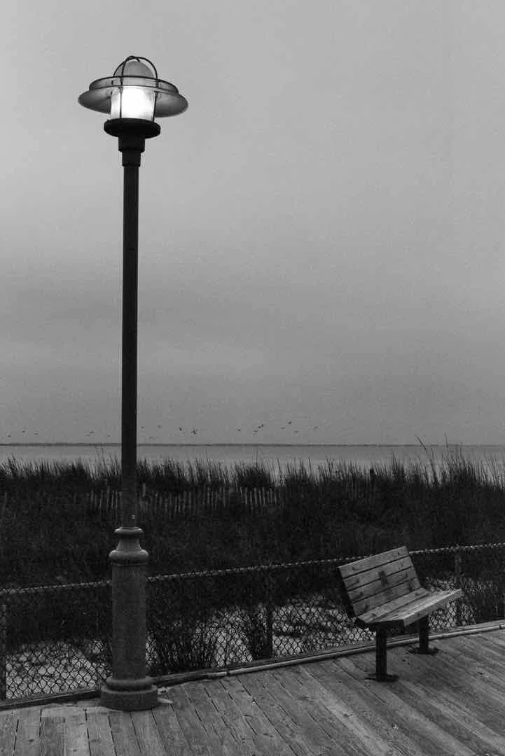 Cape Henlopen at Dawn shot on Film Photography Project X2 Eastman Double-X 200 with a Canon A-1, developed at The DarkRoom, by Jeremy Allen Wieczorek