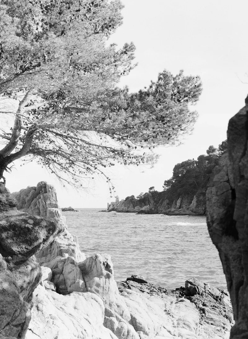 Film photo shot on Ilford Kentmere Pan 400 with a Mamiya 645J, developed at Dubblelab, by tsorrou