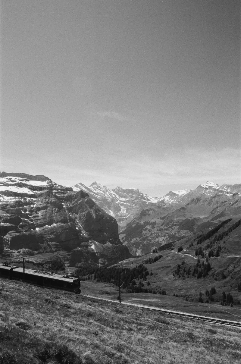 Whistle shot on Ilford Kentmere Pan 400 with a Nikon FA, developed at Nice Film Club, by Leah