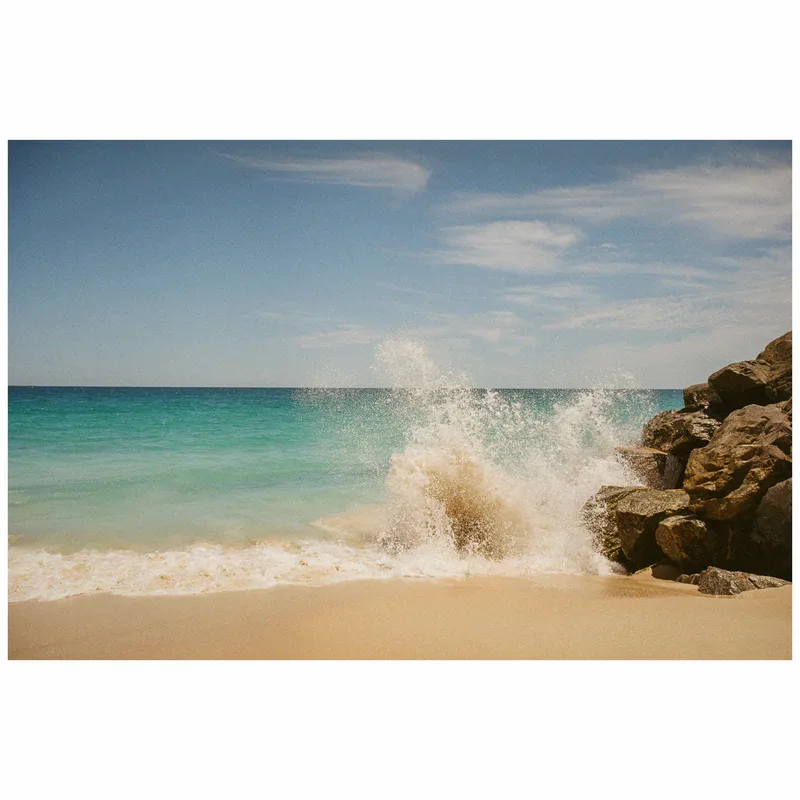 Christmas Day shot on Kodak Gold 200 with a Leica M4-P, developed at SilverPan, by James Greenoff-Cairns