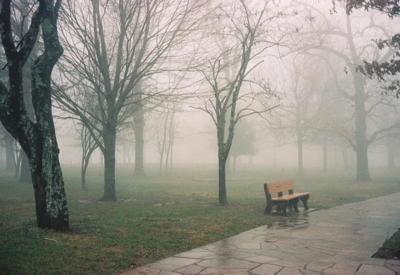 Film photo shot on Kodak Portra 400 with a Yashica Electro35GL, developed at Boutique Film Lab, by Gaby Salinas