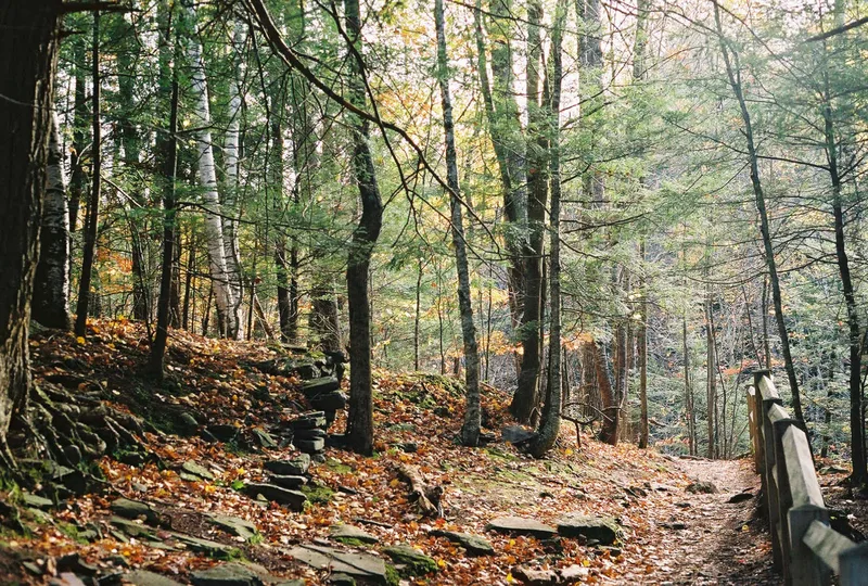 Autumn hike shot on Fujifilm 200 with a Canon AE-1, developed at McGreevy ProLab & ProPress, by Alen