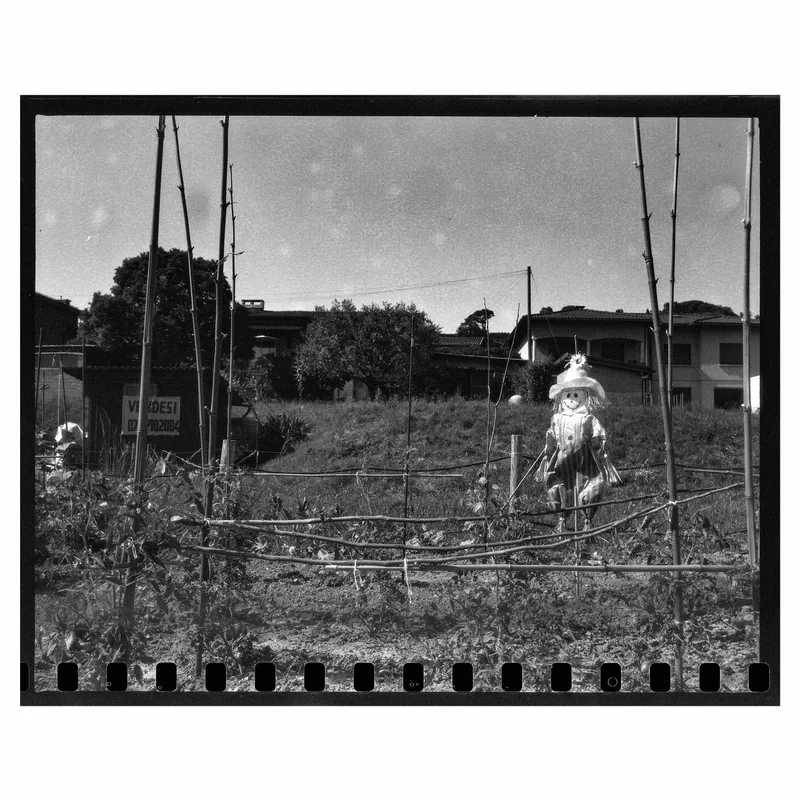 Spaventapasseri shot on Film Washi Film Washi K with a Pentax 6x7 MLU, developed at Home / Self-Developed, by Alessandro Benevento