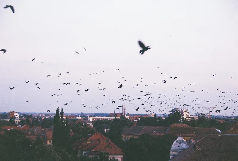 Film photo shot on Fujifilm FujiColor C200 with a Canon EOS 1000FN, by Oriana