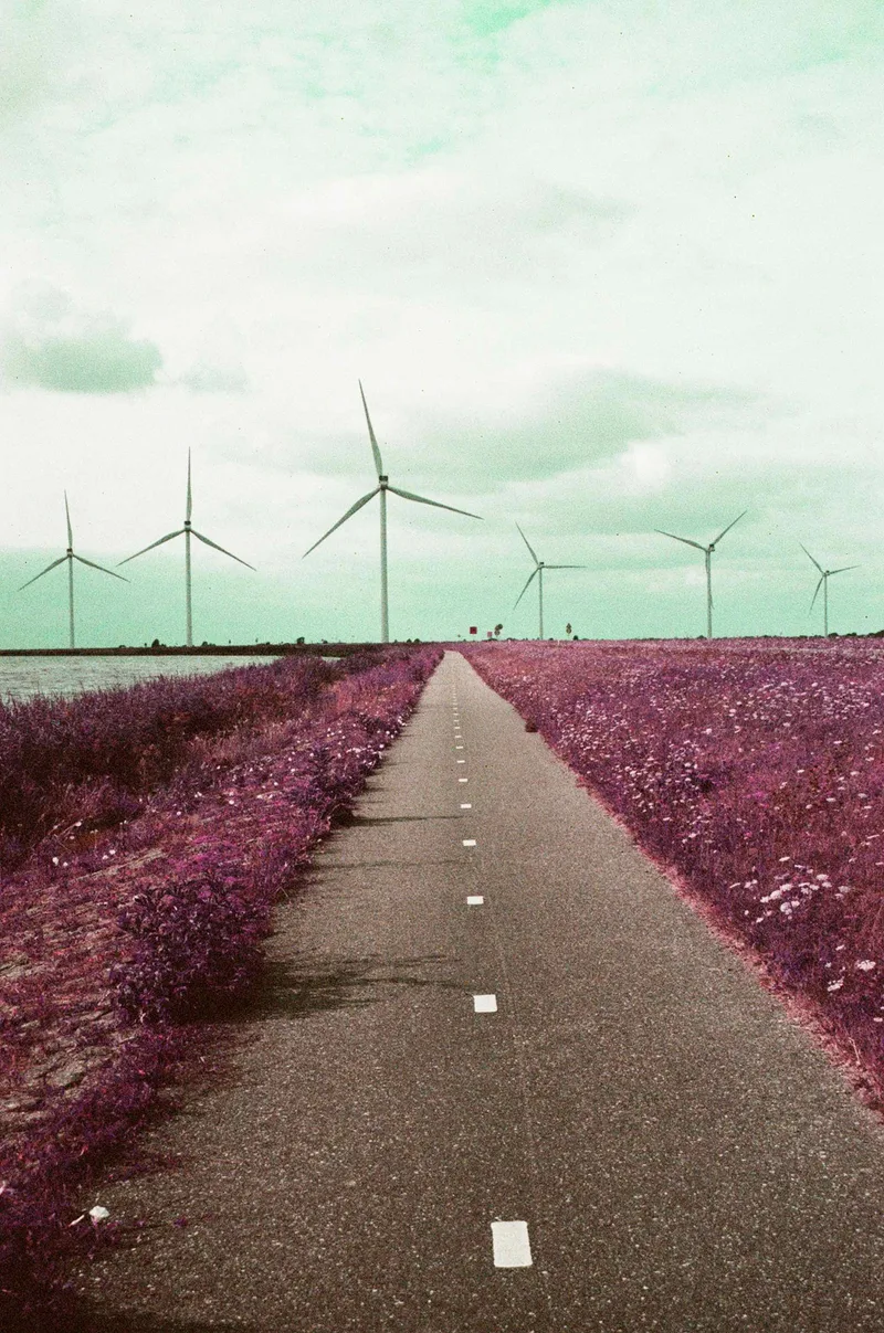 The dike shot on Lomography LomoChrome Purple 100 with a Canon EOS 300, by Tatiana