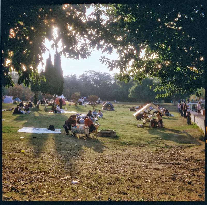 Chengdu’s Winter Sun Obsession shot on Haman Phoenix 200 II with a Yashicaflex, developed at Home / Self-Developed, by Blaze_BIG