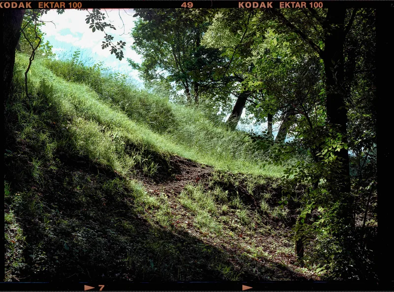 Fairy lights shot on Kodak Ektar 100 with a Graflex Pacemaker Speed Graphic, developed at DevbyJannis, by Alessandro Benevento