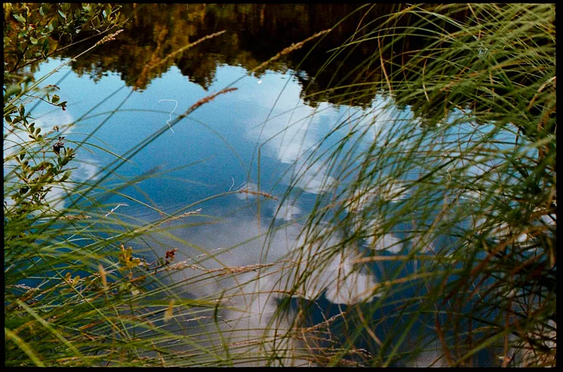 Head in the clouds shot on Kodak Gold 200 with a Canon 300x, developed at Xano Lab, by Lixo Generico