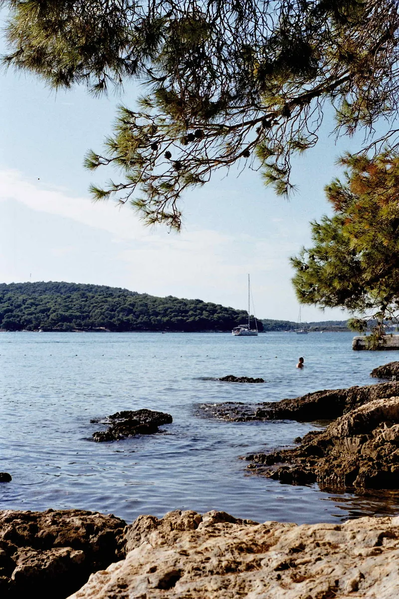 Film photo shot on Kodak Gold 200 with a Olympus OM-10, developed at Foto Huus Oerlikon, by mariana