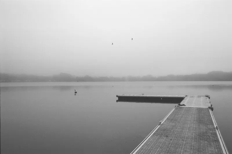 Dans le brouillard shot on Foma Fomapan 100 Classic with a Canon AE-1, developed at Home / Self-Developed, by Adrien